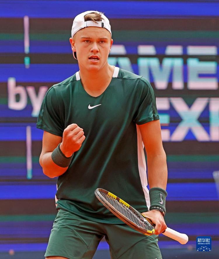 马的荣誉榜 马的荣誉榜