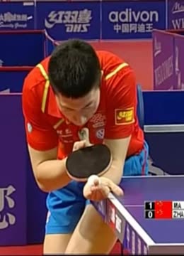 内链建议 内链建议